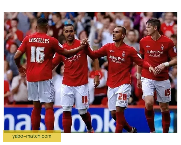 世界杯赛事全面解析与专家投注技巧指南助你赢取大奖